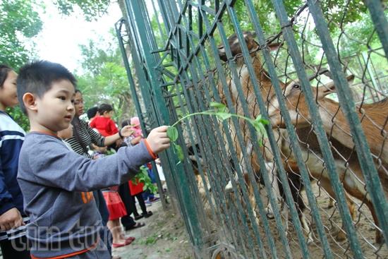 Các điểm vui chơi Thủ đô đông du khách nhí ảnh 2